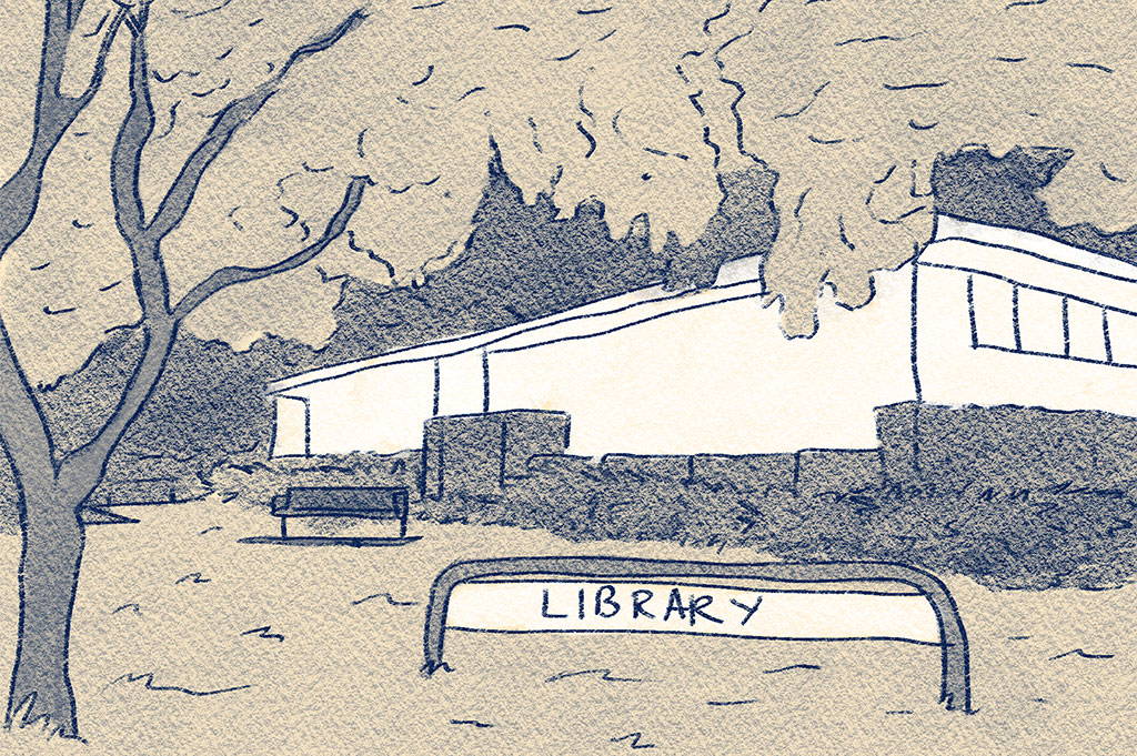 preview of library comic